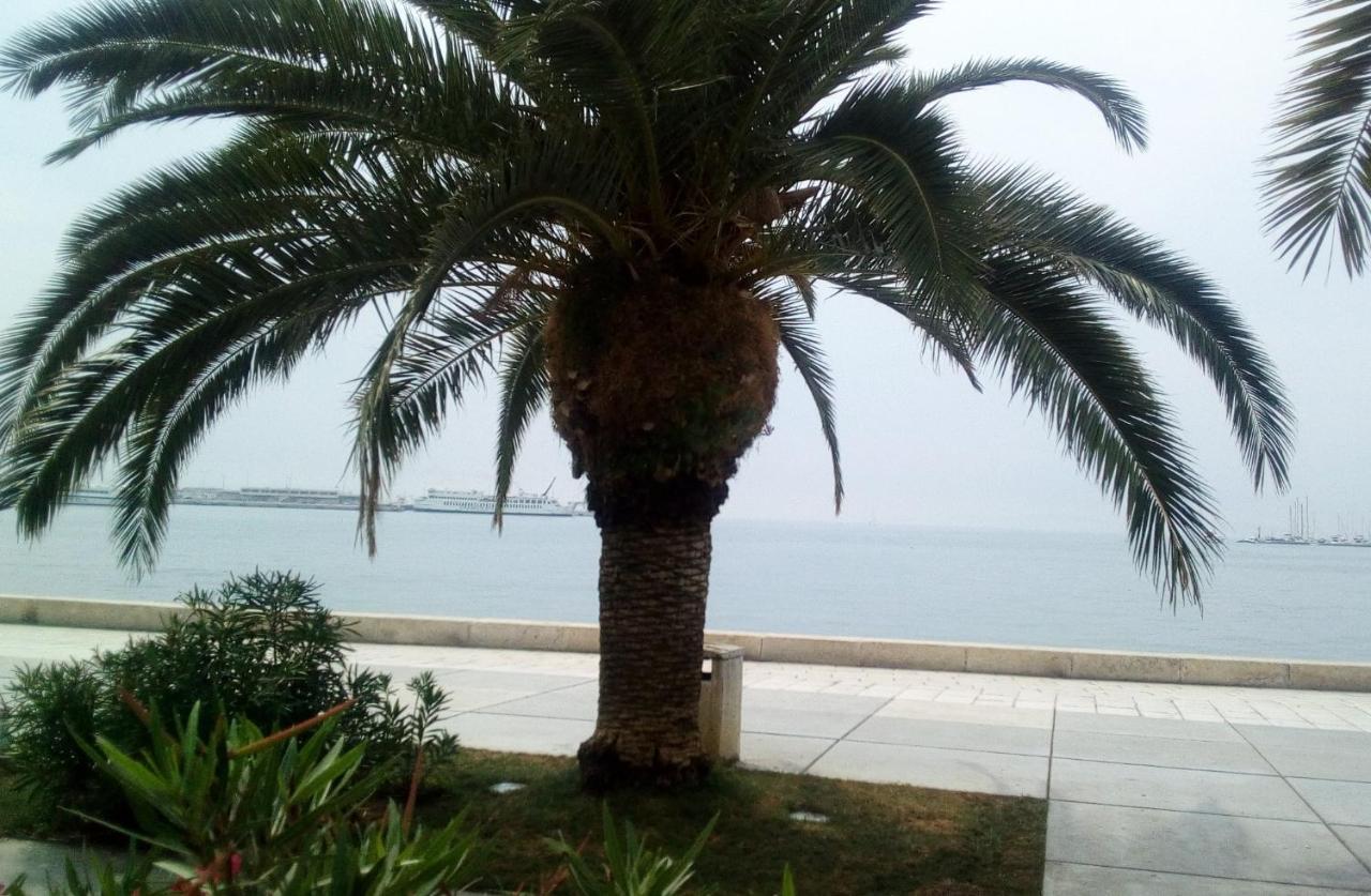 Elly Apartments Σπλιτ Εξωτερικό φωτογραφία